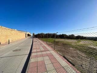 Terreny residencial a Pilas. Venta de suelo urbano residencial  2 fincas rústicas en pilas se