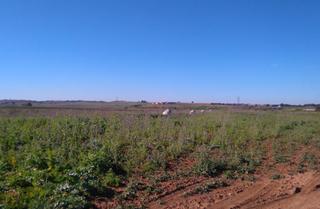 Residential Plot  Polig ind.espaldillas sunp-i.-11 nº18-20a-23c el