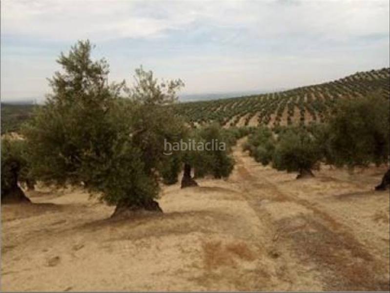 Foto 0327ebd9-d669-45f3-9456-a3c08f54d3b0. Wohngrundstück in Lopera