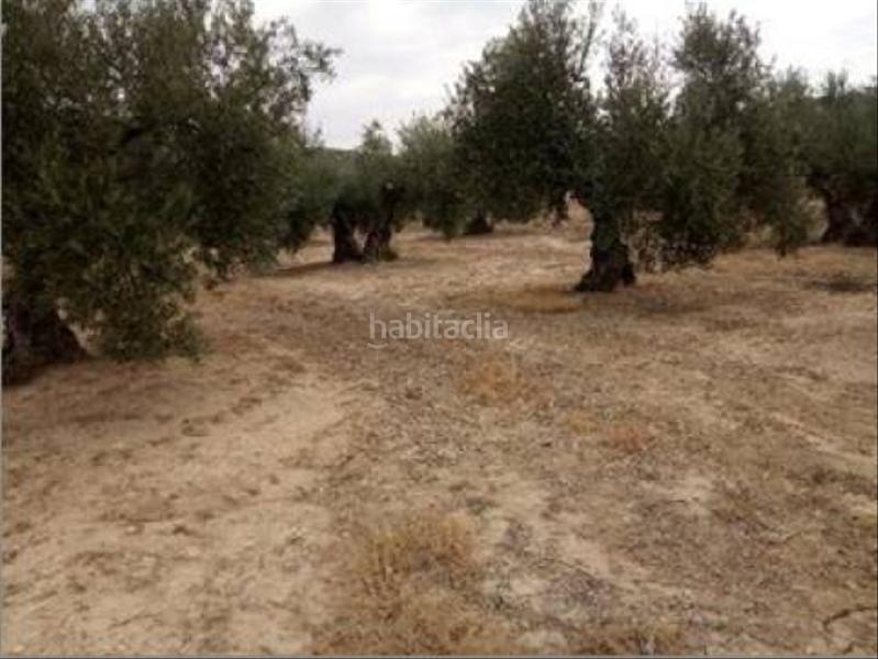 Foto 32d01c15-673e-4313-b338-ab173f0e8e84. Wohngrundstück in Lopera