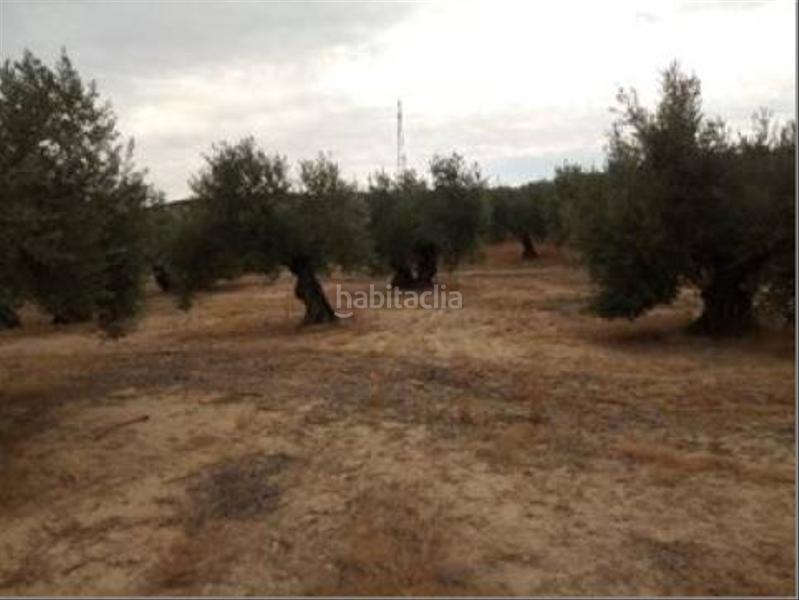 Foto 374b9881-a00a-4de5-8011-14a74d9fd6d6. Wohngrundstück in Lopera