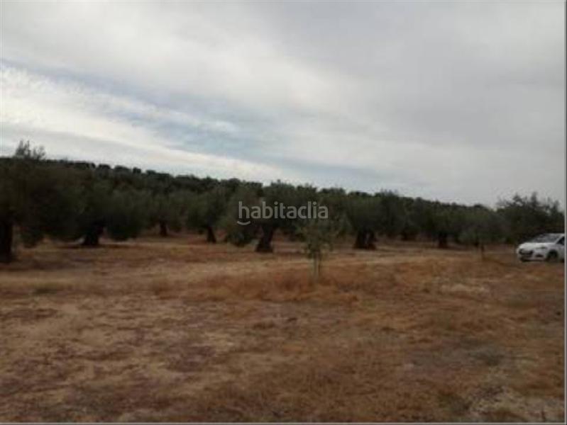 Foto 517f2b33-6a87-4d7c-a072-76794334f141. Wohngrundstück in Lopera