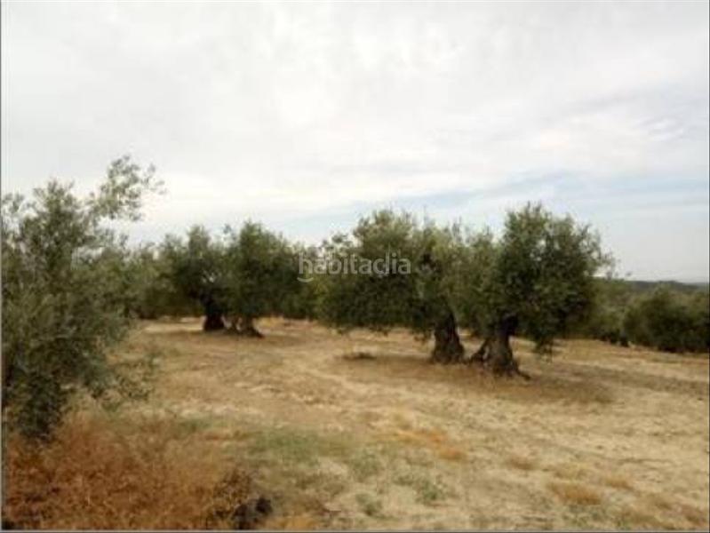 Foto 54b93849-87ab-4b65-97eb-c766ffd6f25c. Wohngrundstück in Lopera