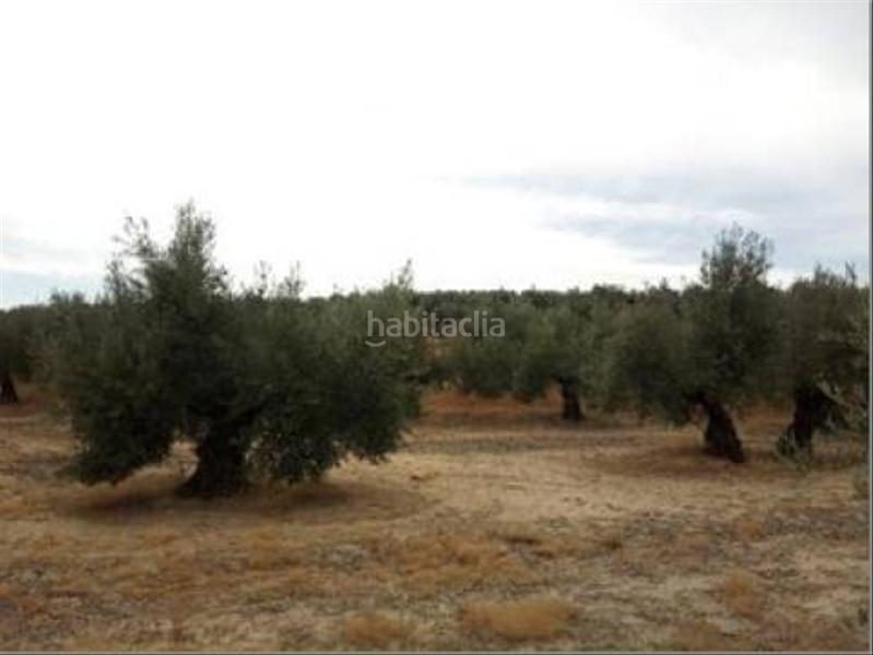 Foto 7e9be341-9bc0-491d-9d61-fc34edc5a17e. Wohngrundstück in Lopera