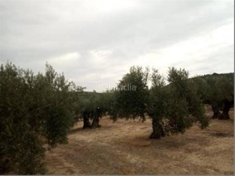 Foto 84f5f501-3c1e-4362-97fb-164dd786cde0. Wohngrundstück in Lopera