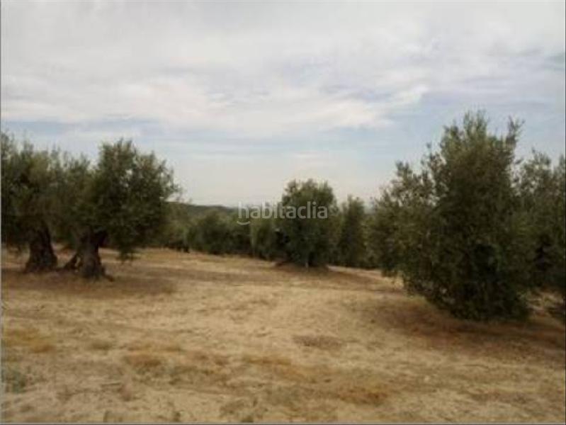 Foto a7ce023d-8dd5-4f77-af31-8e68376d7d43. Wohngrundstück in Lopera