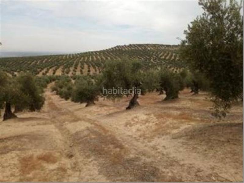 Foto b4fa93a0-9828-4797-9f59-d86eb9d968da. Wohngrundstück in Lopera