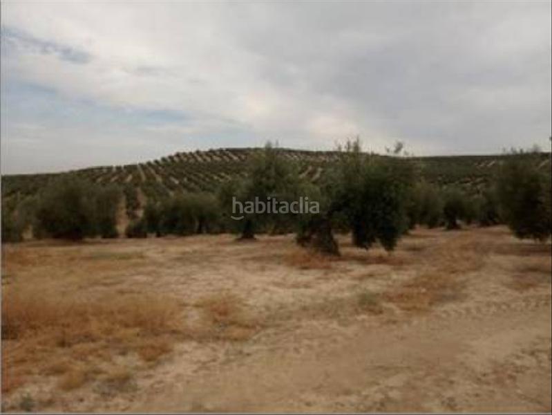 Foto c88c9d1c-7afc-484c-8687-901230ce7d8b. Wohngrundstück in Lopera