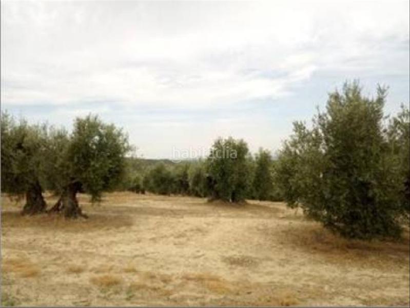 Foto efd44ac1-7430-4c89-be9e-a31d529c59dd. Wohngrundstück in Lopera