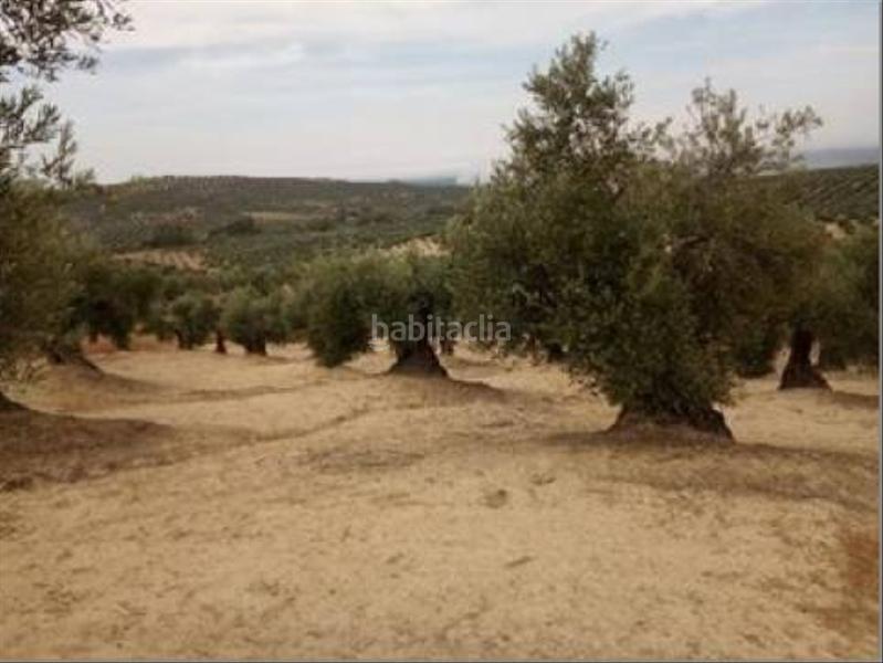 Foto f15277b4-2c9c-44d5-ba37-9ab7da1e214b. Wohngrundstück in Lopera