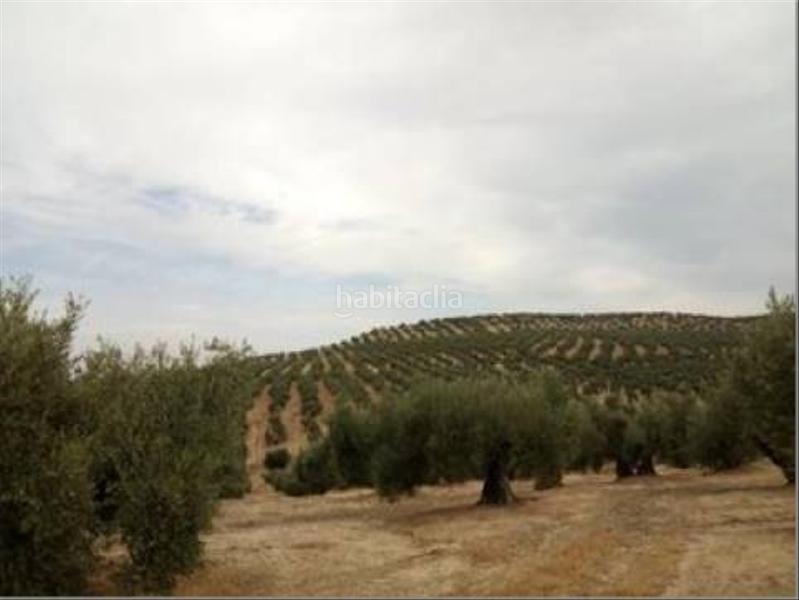 Foto fe7d57a1-0dfa-43b0-b9ec-67588a9215c7. Wohngrundstück in Lopera