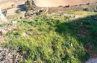 Terrain résidentiel à Paterna de Rivera. Terreno en venta en paterna