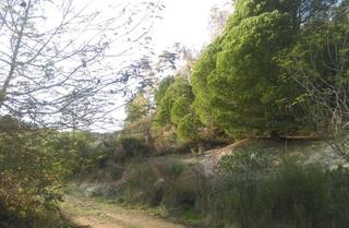 Terrain résidentiel à Minas de Riotinto. Terreno en venta en poligono alto mesa, minas de rio tinto.