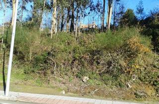 Rural plot  Lugar outeiro s/n pg.188 pc.59