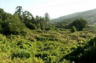 Residential Plot in Parroquias Rurales
