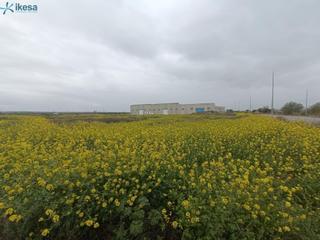 Terreny residencial a Cijuela. Terreno industrial de 4.096 metros