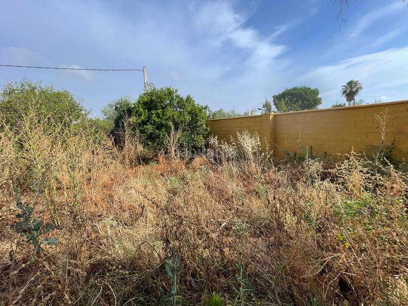 Foto 44a02e06-839b-4268-b9d5-c2d7e95210d4. Casa venta de casa independiente sevilla en Sanlúcar la Mayor