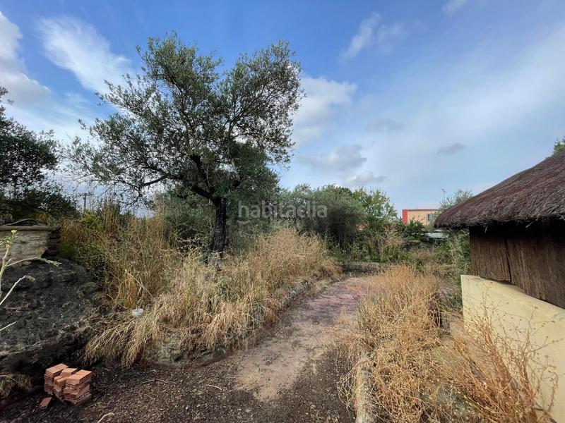 Foto 580e1001-0a04-4388-854a-d585a005073a. Casa venta de casa independiente sevilla en Sanlúcar la Mayor