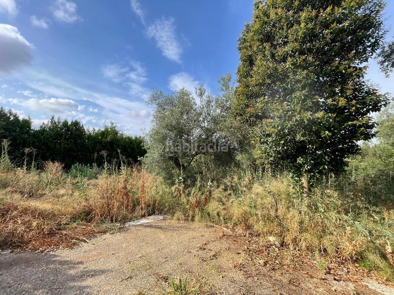 Foto ad5d5b5c-37bf-4b61-a629-98d8888d7d8b. Casa venta de casa independiente sevilla en Sanlúcar la Mayor