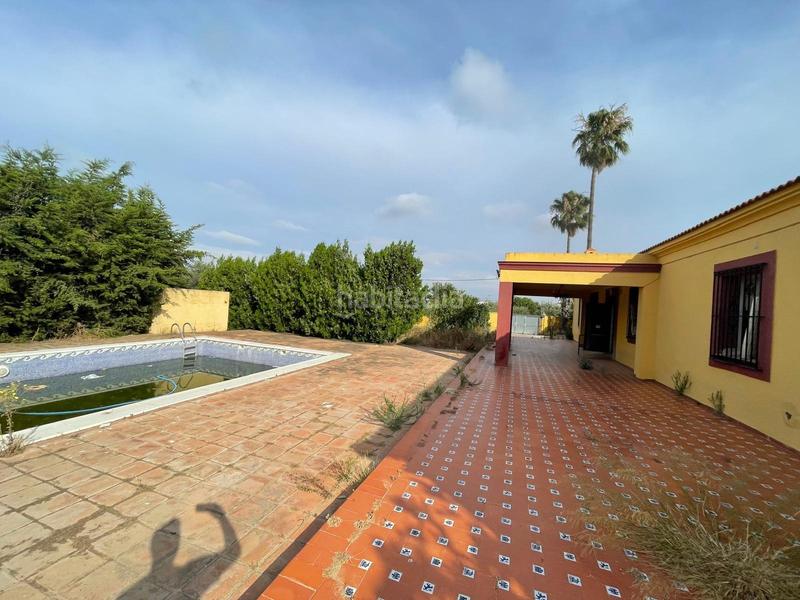 Foto e8439c44-f204-4410-b3b1-6891cac5722e. Casa venta de casa independiente sevilla en Sanlúcar la Mayor