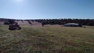 Terreny residencial a Fuente Obejuna. Terreno en fuente obejuna córdoba