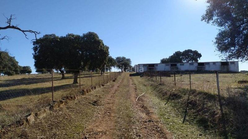 Foto bfd3e701-9f62-4cc9-9506-3f8dfef03b85. Terreno residenziale in Fuente Obejuna