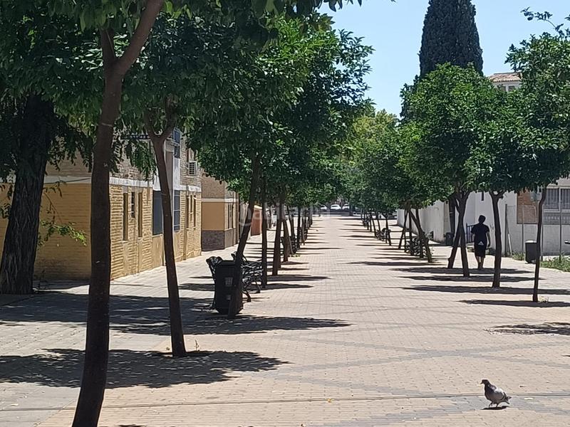 Foto a3387252-50ec-4baa-a6d3-00bcd8c12d66. Pis a Sector Sur Córdoba