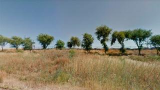 Terreny residencial a Écija. Suelo quinta de machado en ecija
