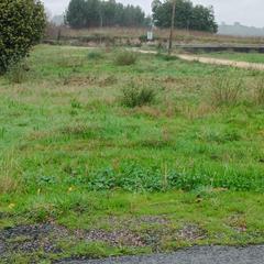 Residential Plot  Pombal. Parcelas en venta en  barro, pontevedra.