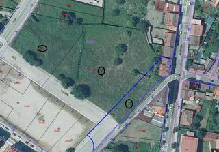 Finca rústica a Tui. Parcelas urbanas en tui