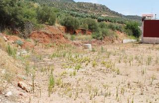 Terreny residencial a Puerta de Segura (La). Parcela en la puerta de segura jaén