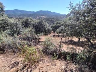 Finca rústica a Fuencaliente. Venta de 3 terrenos en fuencaliente ciudad real