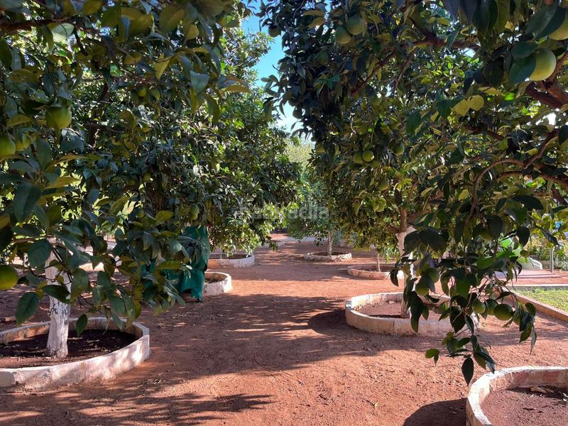 Foto 665b0b5c-3644-4c86-ac9c-0923d5efdbfb. Chalet con parcheggio piscina in Oromana Alcalá de Guadaira