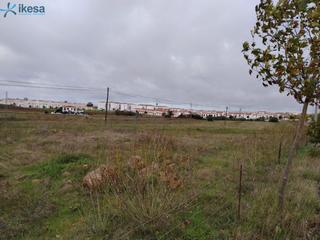 Finca rústica en Montijo. Venta de finca rústica en olivenza badajoz