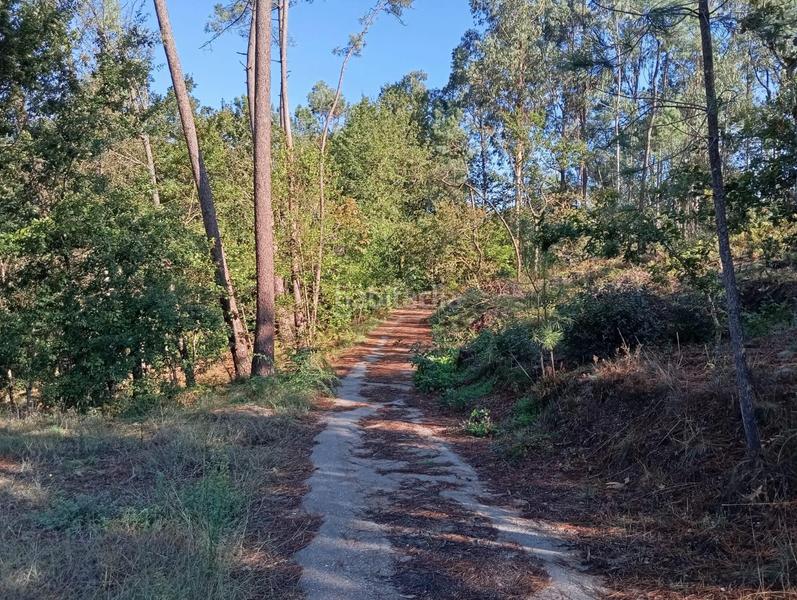 Foto 832f5725-bf70-47f3-ab96-2b9008b7afa2. Maison dans cribeiro (o)-cristiñade 63 dans Ponteareas