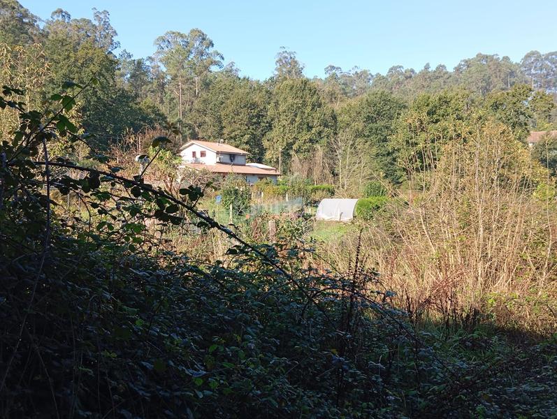 Foto 8523b60d-3d74-4a2f-8ddc-784562a29662. Maison dans cribeiro (o)-cristiñade 63 dans Ponteareas