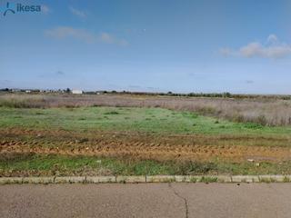 Terreny residencial a Pueblonuevo Del Guadiana. Venta de suelo urbanizable residencial en pueblonuevo del guadia