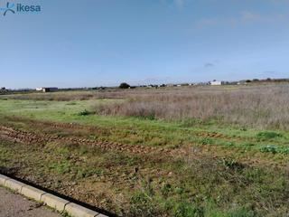 Terreny residencial a Pueblonuevo Del Guadiana. Venta de suelo urbanizable residencial en pueblonuevo del guadia