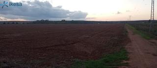 Finca rústica a Jerez de los Caballeros. Venta de finca rústica en paraje la calera de los barros  badajo