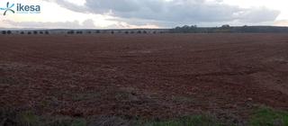 Finca rústica a Solana de los Barros. Venta de finca rústica en villalba de los barros badajoz