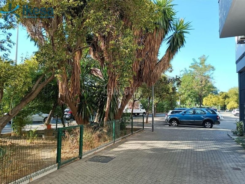 Foto 5faa2ed8-7595-4590-a891-6786870ed290. Pis a San Pablo Sevilla