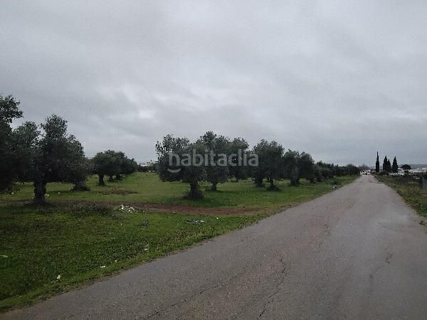 Foto b6318014-196b-4882-8b7c-7c3d0d03465c. Finca rústica a Puerto Serrano