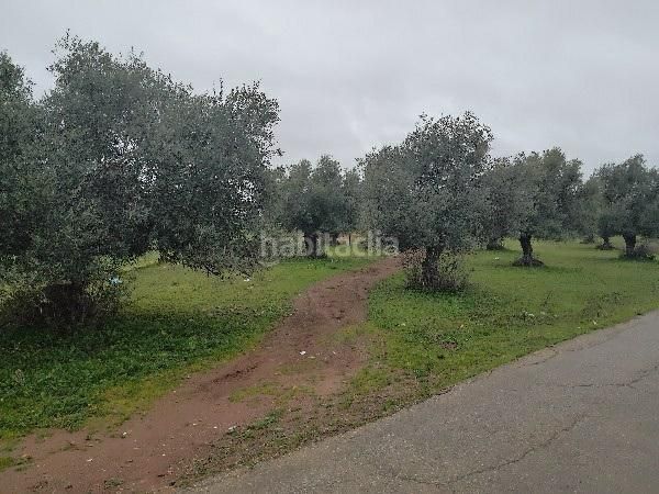 Foto de1e55e1-239e-4cb1-b567-f129f1f19fc3. Finca rústica a Puerto Serrano