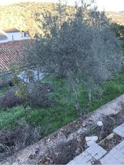 Finca rústica a Bosque (El). Terreno urbano en venta en el bosque  oportunidad residencial
