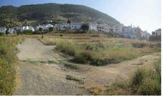 Finca rústica a Algodonales. Amplio terreno urbano no consolidado  algodonales