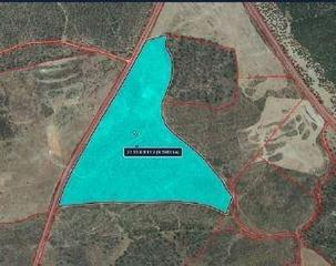 Finca rústica a Niebla. Venta de suelo rústico en niebla. activo inmobiliaro sin posesió
