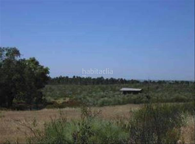 Foto 03756e79-b265-401d-986e-9fba5a335414. Landgut in Niebla