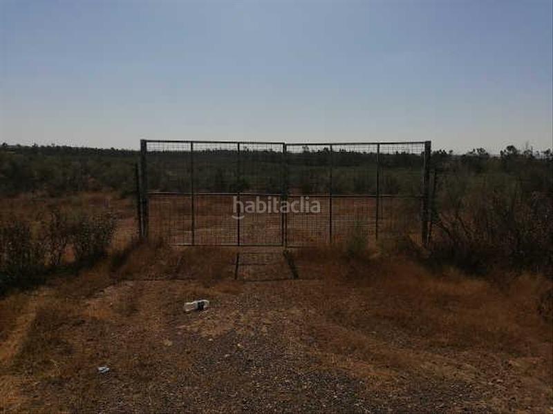 Foto 428893c1-819c-4d2c-8d07-36d54a549d14. Landgut in Niebla