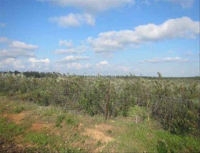 Foto be57f1a3-1100-4e34-a0db-59e87f737c2c. Landgut in Niebla