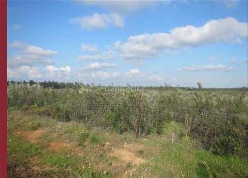 Foto d808e33a-d7b3-47ba-b7d0-27ed7a214218. Landgut in Niebla